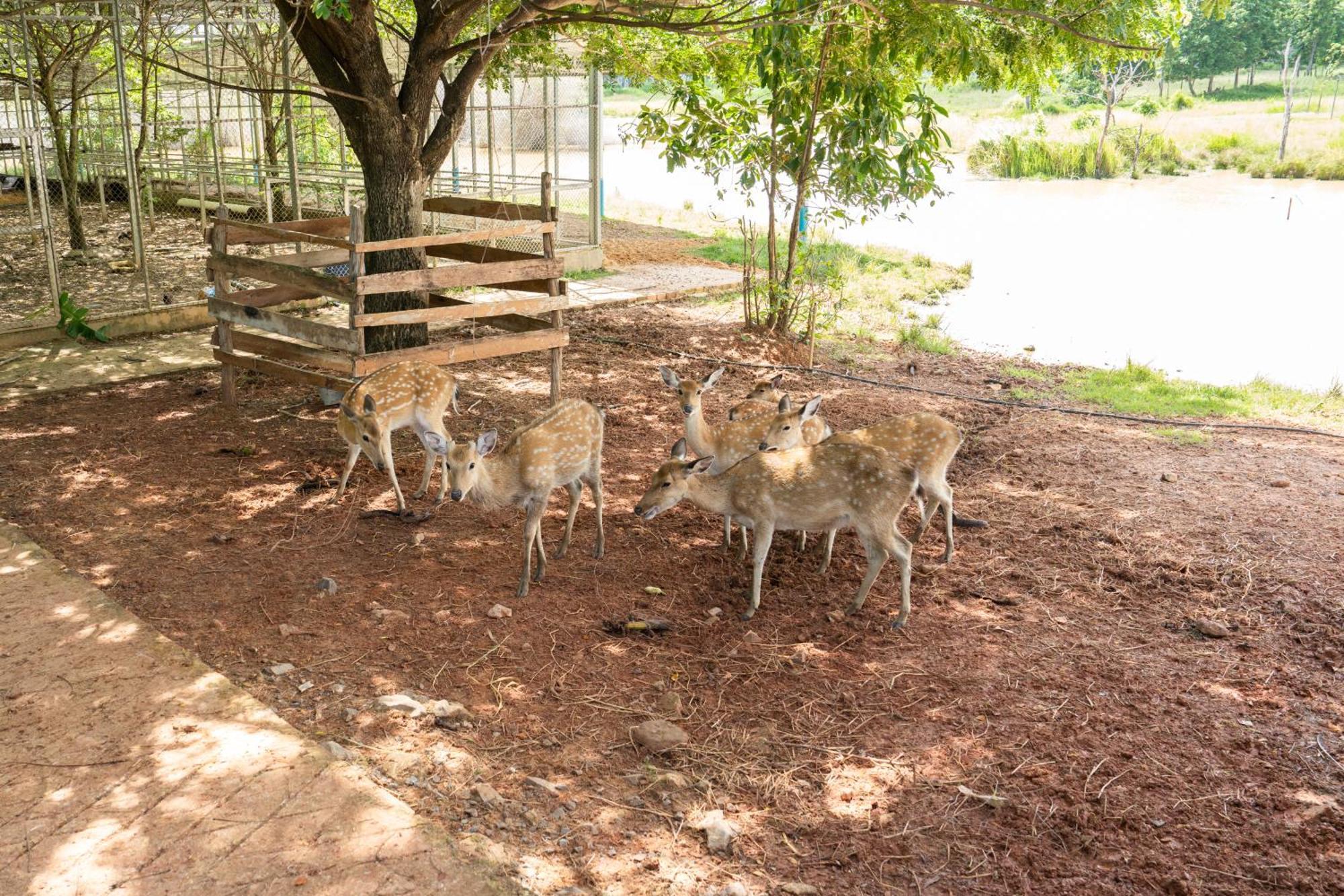 Phum Domnak Domrey Resort Chambok エクステリア 写真